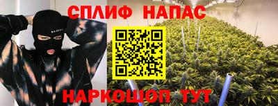 Альфа ПВП Обь
