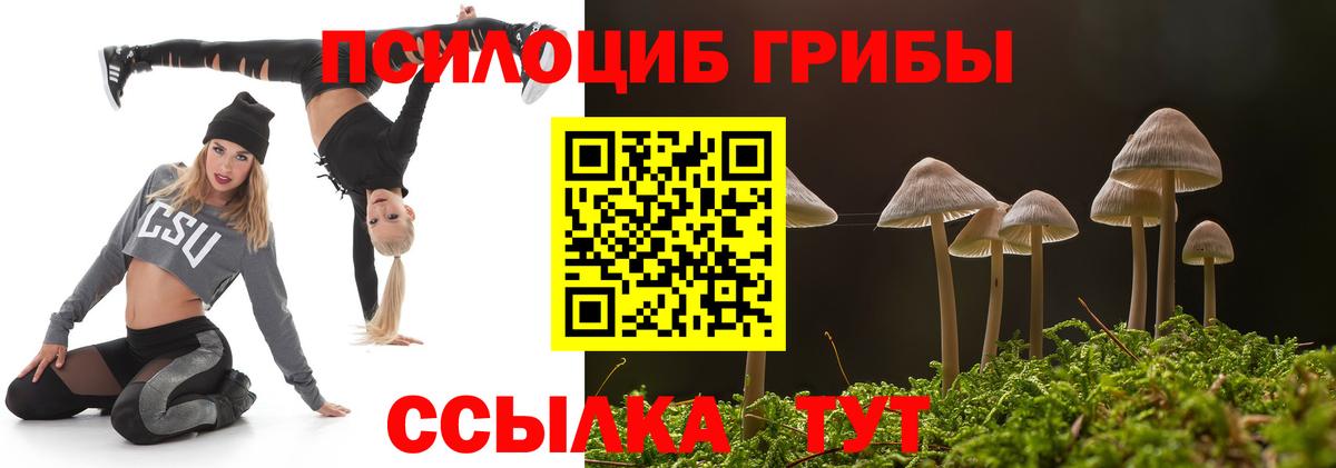 Галлюциногенные грибы Cubensis  Вход с VPN  Спасск-Дальний 